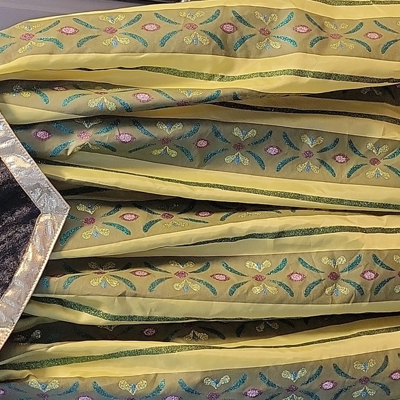 Disney Park Size Large 10/12. Princess Anna Coronation Costume - Picture 5 of 5